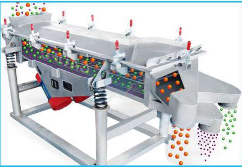 A Importância de Utilizar a Peneira Retangular no Setor Alimentício: Versatilidade e Eficiência Garantidas da MHS Industria e Comércio